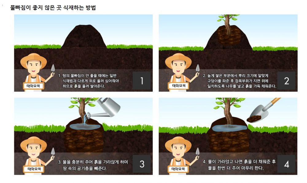 물빠짐이 좋지 않은 곳.jpg