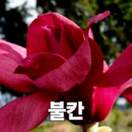 Resized_다운로드파일_1731236783098.jpeg