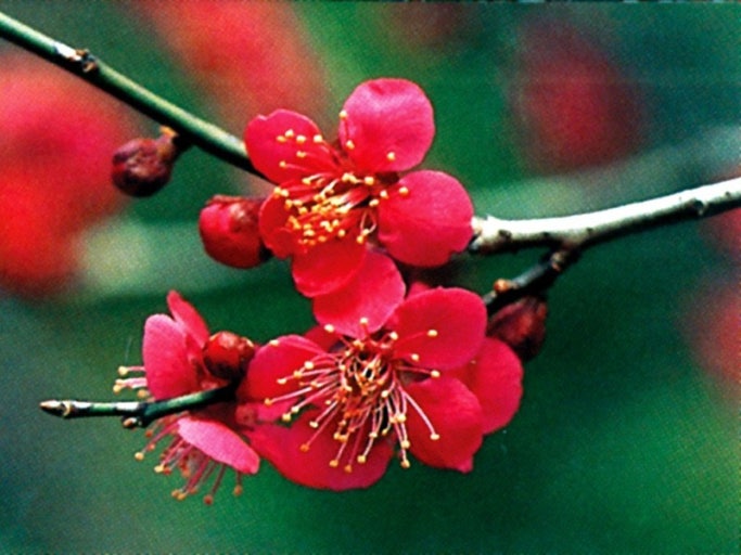 다운로드파일_20251110_115609.jpg