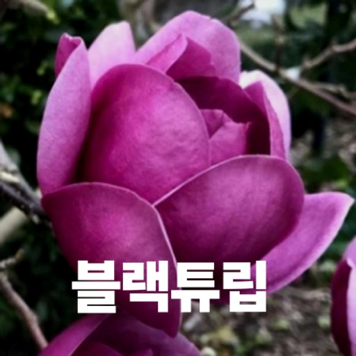 다운로드파일_20231211_182756.jpg