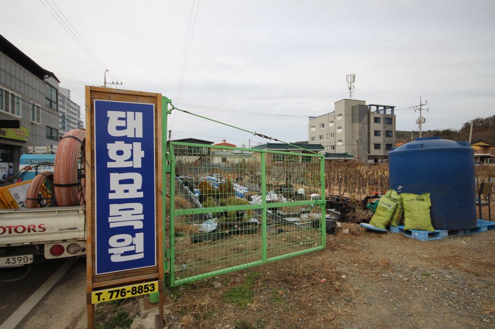 태화묘목원.JPG