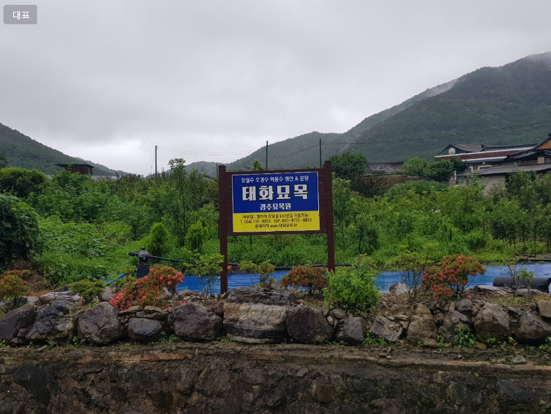 태화묘목 58.PNG