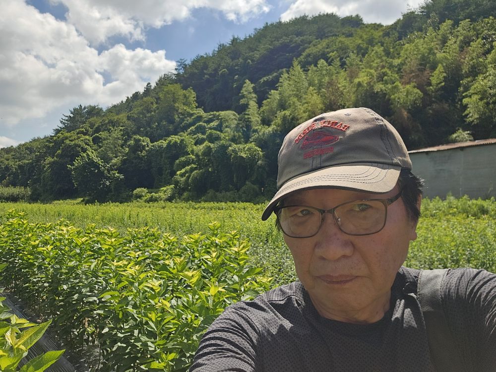 사천 태화묘목 (18).jpg