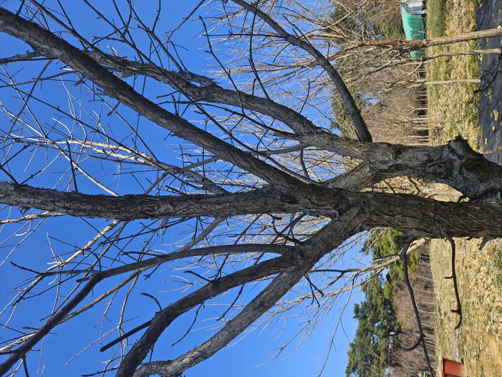 20260320_131942.jpg